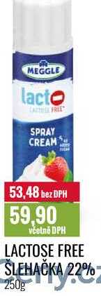 LACTOSE FREE ŠLEHAČKA 22% 250g 