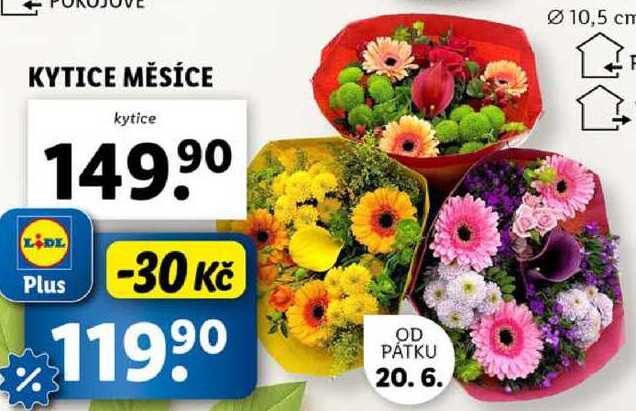 KYTICE MĚSÍCE 