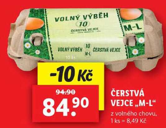 ČERSTVÁ VEJCE ,,M-L“ z volného chovu, 10 ks