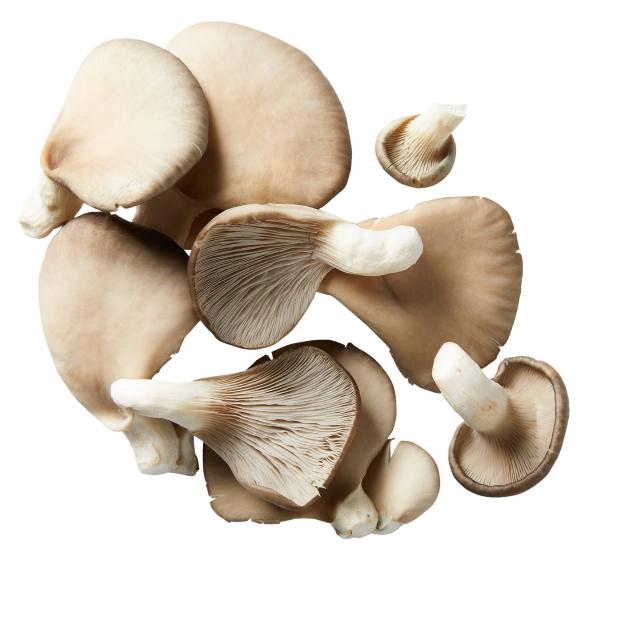 BIO - Hlíva ústřičná kloboučky