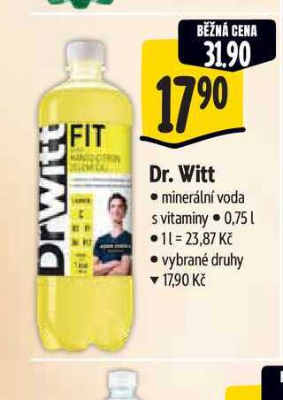  Dr. Witt 0,75 l