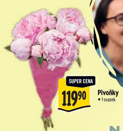Pivoňky