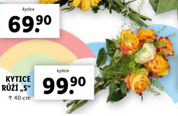 KYTICE RŮŽÍ ,,S“ 