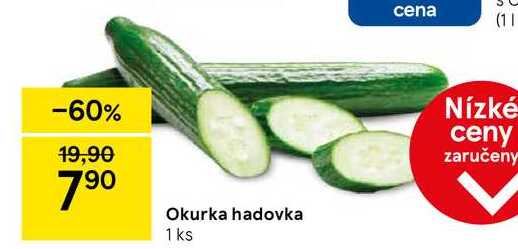Okurka hadovka 1 ks cena (11 Nízké ceny zaručeny 