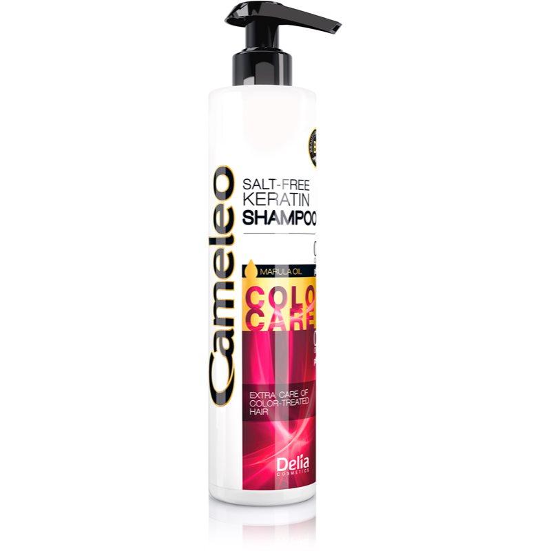 Delia Cosmetics Cameleo BB keratinový šampon pro barvené a melírované vlasy 250 ml