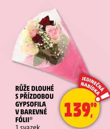 RŮŽE DLOUHÉ S PŘÍZDOBOU GYPSOFILA V BAREVNÉ FÓLII, 1 svazek  