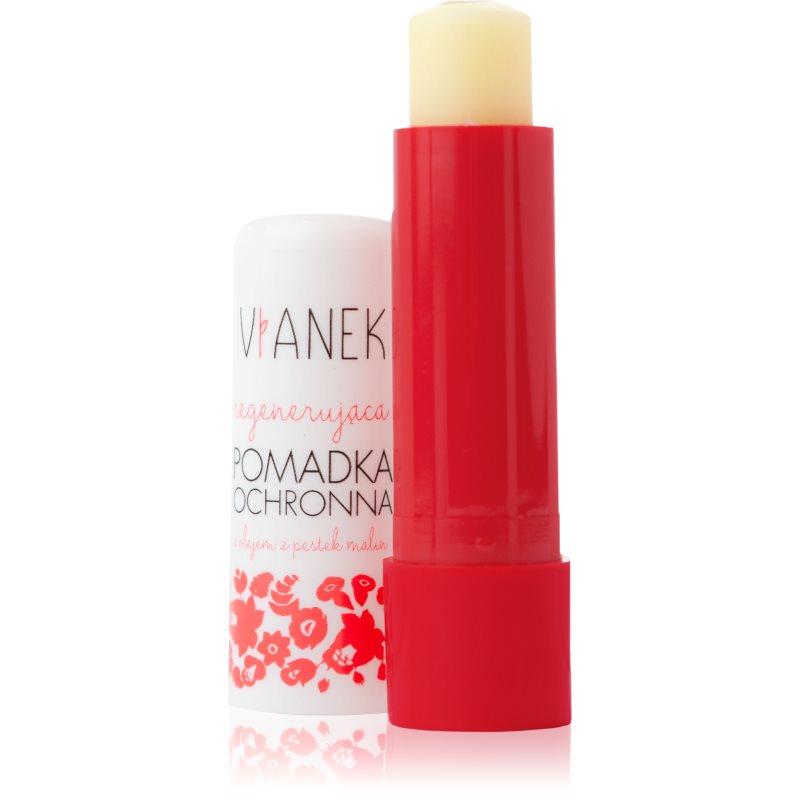 Vianek Regenerating regenerační balzám na rty 4.6 g