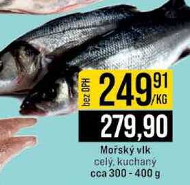 Mořský vlk cely, kuchaný cca 300-400 g 