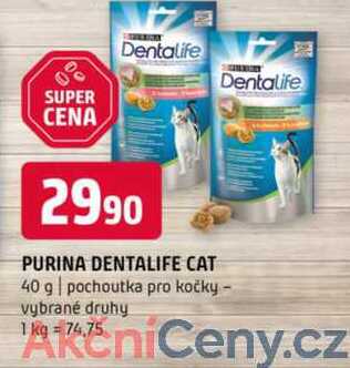 Purina dentalife cat 40 g pochoutka pro kočky vybrané druhy 
