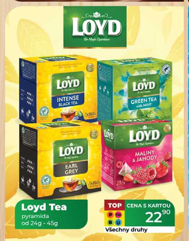 Loyd Tea pyramida od 24g - 45g 
