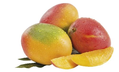 Mango, 2 KS