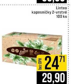 Linteo kapesničky 2-vrstvé 100 ks