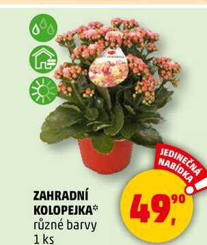 ZAHRADNÍ KOLOPEJKA různé barvy, 1 ks 
