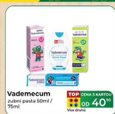 Vademecum zubní pasta 50ml/ 75ml  