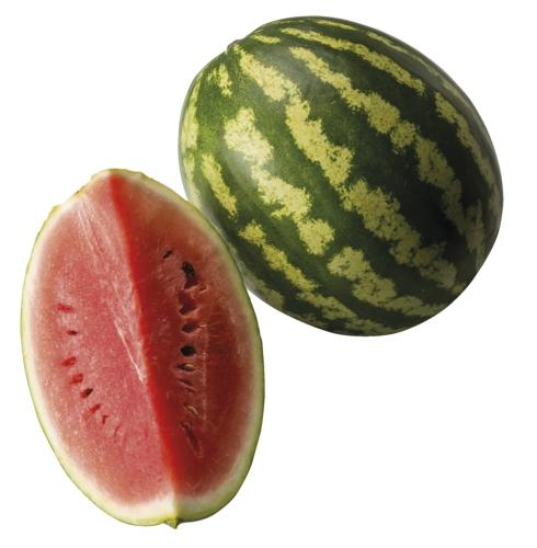 Meloun vodní 1 kg
