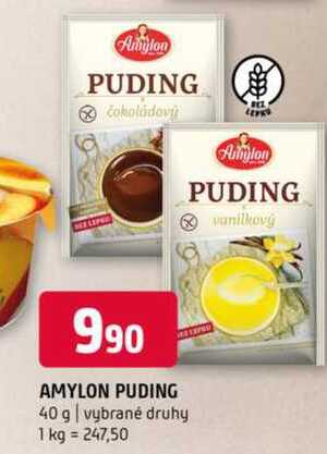AMYLON PUDING 40 g vybrané druhy 
