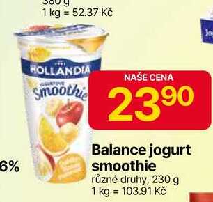 HOLLANDIA Balance jogurt smoothie různé druhy, 230g