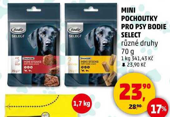MINI POCHOUTKY PRO PSY BODIE SELECT různé druhy, 70 g 