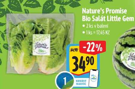 Nature's Promise Bio Salát Little Gem, 2 ks 