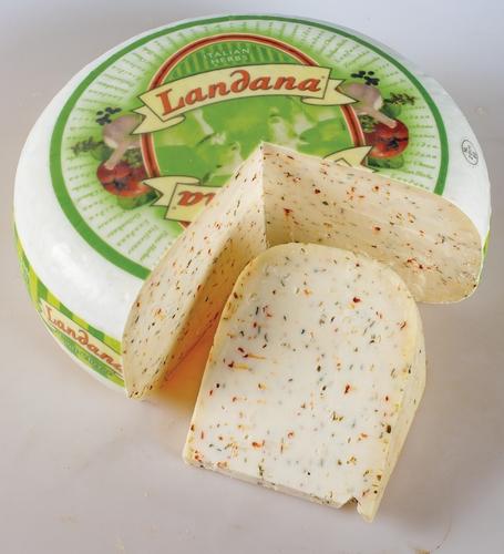 Landana, sýr typu gouda z kozího mléka, 1 kg