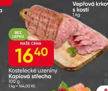 Kapiová střecha 100 g 
