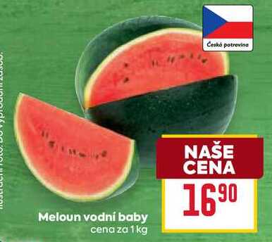 Meloun vodní baby cena za 1kg