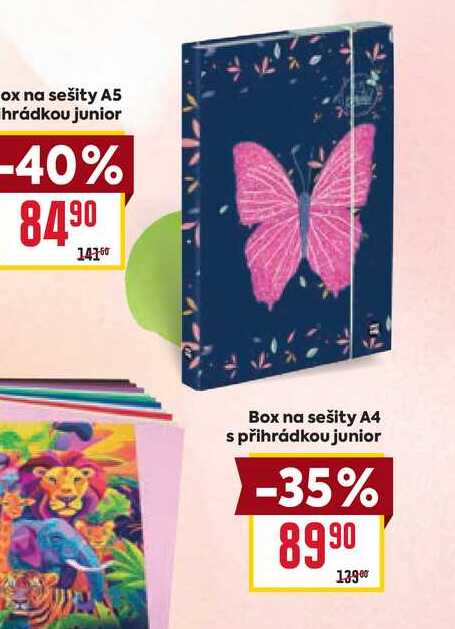 Box na sešity A4 s přihrádkou junior 
