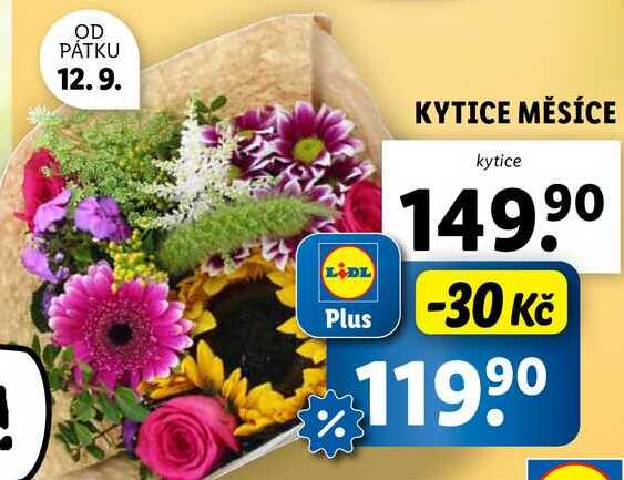 KYTICE MĚSÍCE 