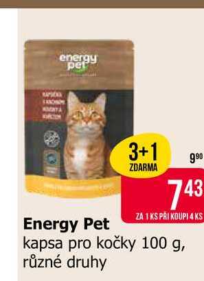 Energy Pet kapsa pro kočky 100 g, různé druhy 