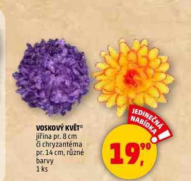 VOSKOVÝ KVĚT jiřina pr. 8 cm či chryzantéma pr. 14 cm, různé barvy, 1 ks