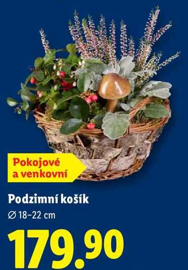 Podzimní košík 