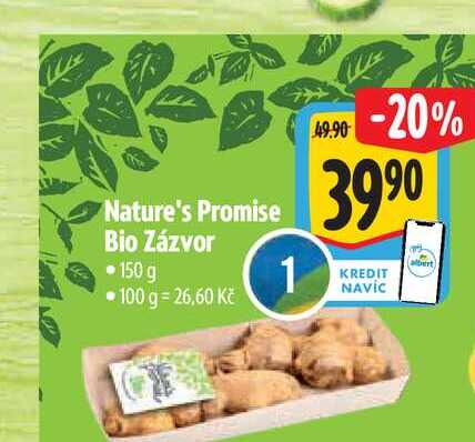 Nature's Promise Bio Zázvor 150 g 