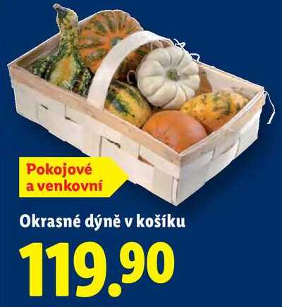 Okrasné dýně v košíku 