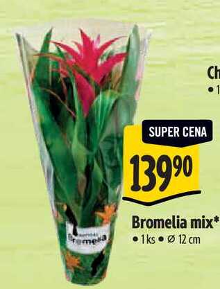 Bromelia mix