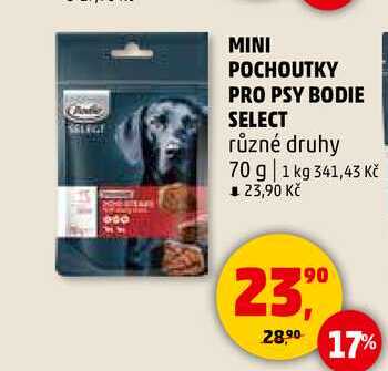MINI POCHOUTKY PRO PSY BODIE SELECT různé druhy, 70 g 