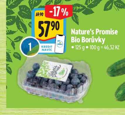 Nature's Promise Bio Borůvky 125 g
