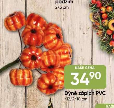 Dýně zápich PVC 12/2/10 cm 