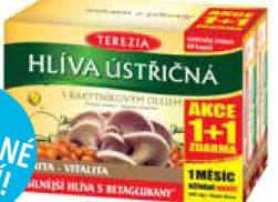 TEREZIA HLÍVA ÚSTŘIČNÁ