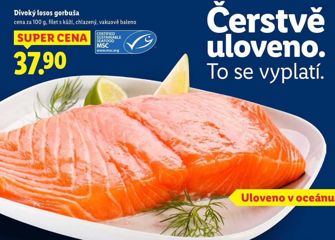 Divoký losos gorbuša, cena za 100 g