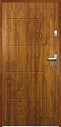 DVEŘE VCH. NIKE P55 PLNÉ Z. DUB 90 L 2 070 × 1 000