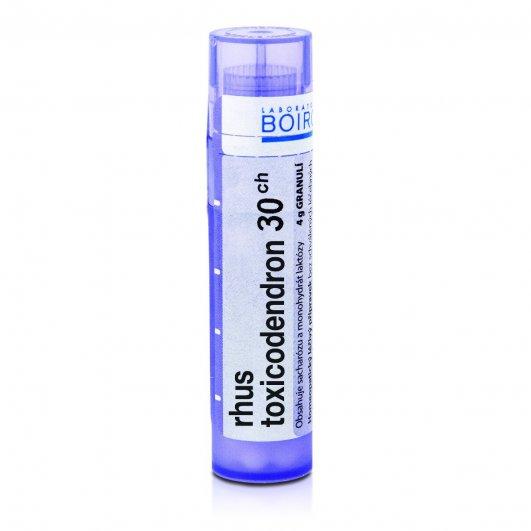 Rhus toxicodendron 30CH granule 4g