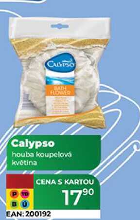 Calypso houba koupelová květina  