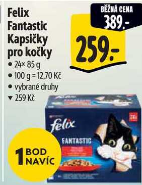 Felix Fantastic Kapsičky pro kočky, 24x 85 g 