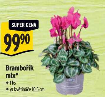 Brambořík mix