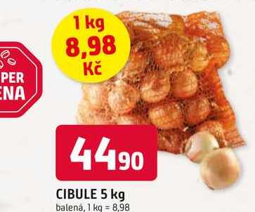 CIBULE 5 kg balená