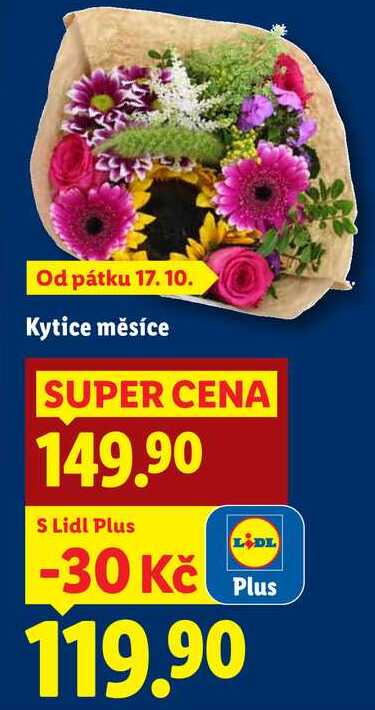 Kytice měsíce