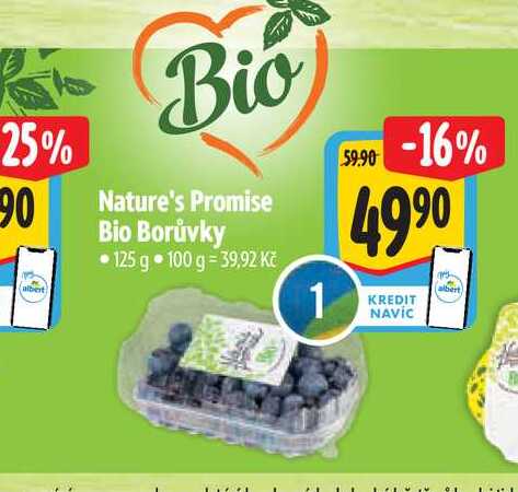   Nature's Promise Bio Borůvky 125 g  