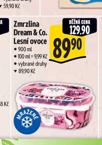  Zmrzlina Dream & Co. Lesní ovoce 900 ml  