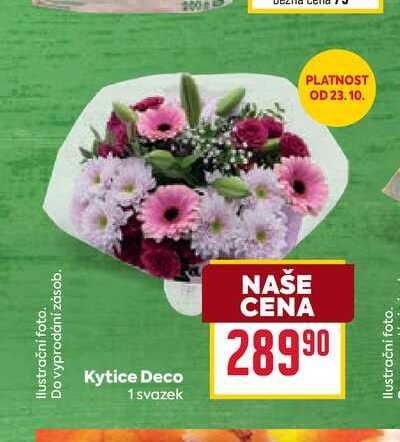 Kytice Deco 1 svazek