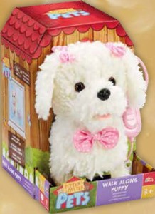 Pudlík na procházce